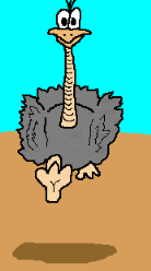 estruç imatges-animades-gif